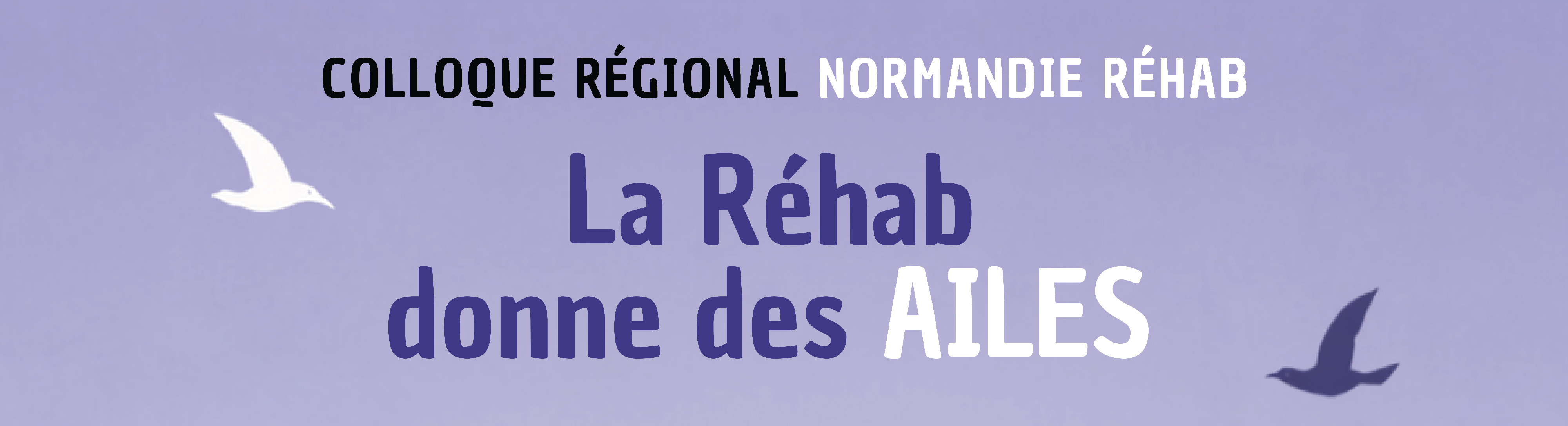 COLLOQUE régional 2026 - Header.jpg